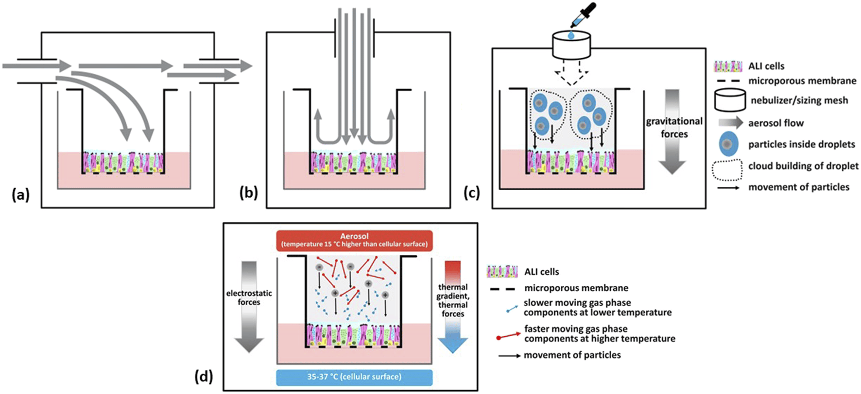 Figure 1 - Assessment of cleaning products