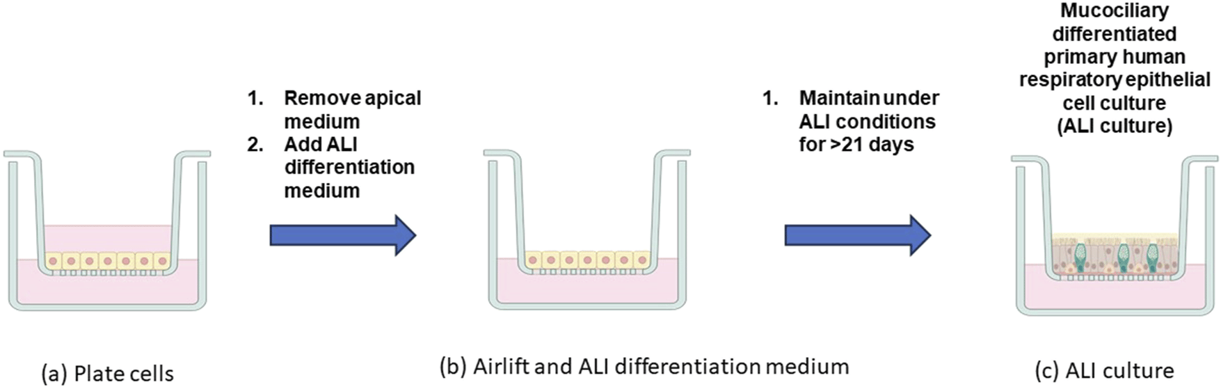 Figure 2 - Assessment of cleaning products
